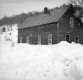 Snowy Home