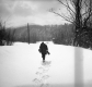 Winter Walk