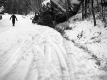 Salter Warenn Accident
