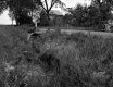 Site of Charles Shaw's Accident 