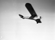 Airplane in Flight