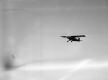 Airplane in Flight