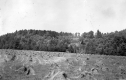 View of Oat Field