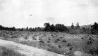 Hay Field near Road