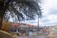Rural Scene in Barnet