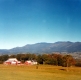 Ruth Wallace Farm