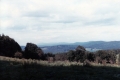 View of Paul Nelson Farm