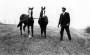 George A. Warden and Colts