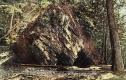 Green Mountain Boys Cave