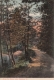 Dirt Road along Lake Dunmore 