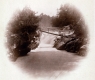 Bridge over Waterfall