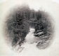 Belden Falls 