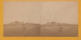 HH Young's House