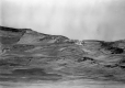 Hill Farming