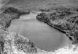 Close-up of Silver Lake