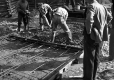 Construction on a new road