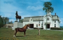 University of Vermont Morgan Horse Farm