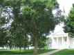 Chapel and Hepburn Hall 