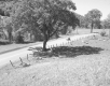 Scenic Route 14