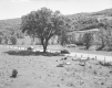 Scenic Route 14