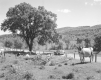 Scenic Route 14