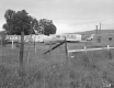 Walter Furgat Property