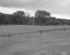 Walter Furgat Property