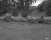 Walter Furgat Property