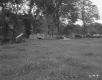 Walter Furgat Property