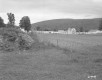 Walter Furgat Property