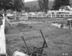 Walter Furgat Property