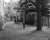 Backyard of Spero D. Latchis