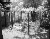 Backyard of Spero D. Latchis
