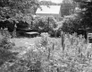 Backyard of Spero D. Latchis