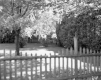 Backyard of Spero D. Latchis