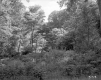 Russell Hertzberg Wood