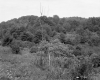 Western Aqueduct Association Property