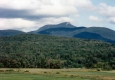 Slopes leading to Camel's Hump