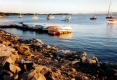 Sailboats on the Burlington Waterfront