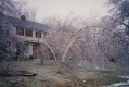 175 Pierson Drive, Shelburne Ice storm