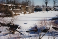 Fisk quarry, Isle La Motte 