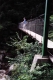 Clarendon Gorge 
