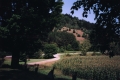 Gravel road in Sharon