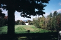 Field in Sharon