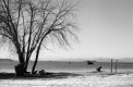 Burlington Waterfront