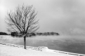 Winter View of Beach in Shelburne