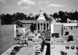Cherry Street in Summer