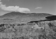 Rural Scene