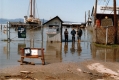 View of People at Waterfront