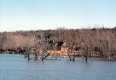 View of house at Head of Shelburne Bay